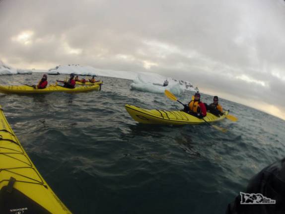 A segunda sessão de caiaque do nosso grupo hoje, dessa vez em Half Moon Island, na Antártida